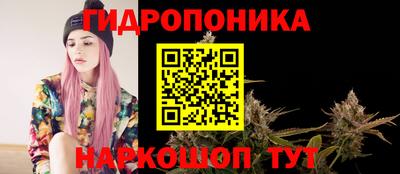 прущие грибы Северобайкальск