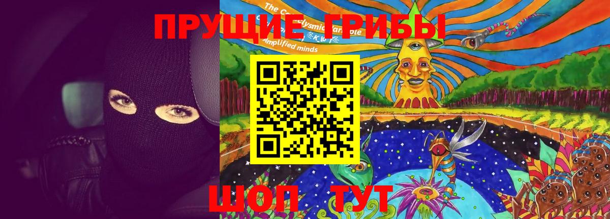 Реутов  Псилоцибиновые грибы Psilocybine cubensis  Вход с VPN  Псилоцибиновые грибы ЛСД 