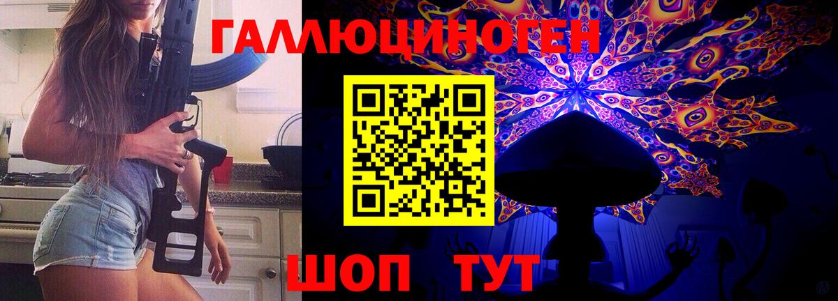 Галлюциногенные грибы Psilocybine cubensis Реутов